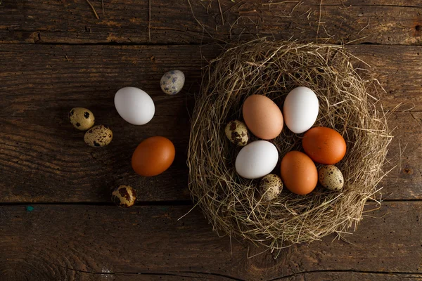 Verse kip en kwartel eieren in een nest op een houten achtergrond — Stockfoto