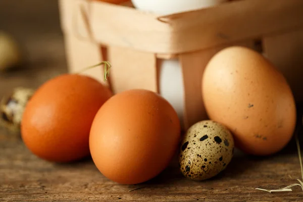 Taze tavuk ve Bıldırcın yumurta bir ahşap arka plan üzerinde — Stok fotoğraf
