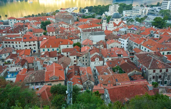 Pemandangan atas bangunan di kota tua Kotor, Montenegro — Stok Foto