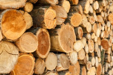 Endüstri için odun yığını