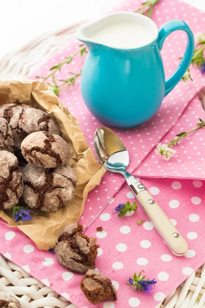 Chocolate homemade cookies and fresh milk — Stock Photo, Image