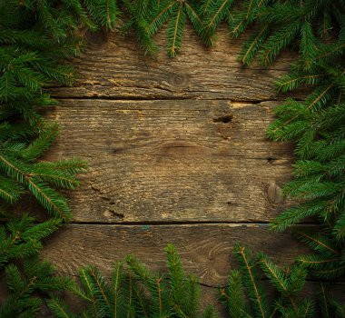Noel ağacı dalları ahşap doku tasarımlarınız için hazır