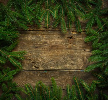 Noel ağacı dalları ahşap doku tasarımlarınız için hazır