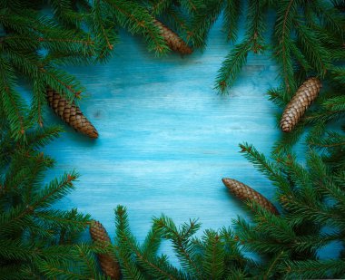 Mavi ahşap doku hazır koniler ile Noel ağacı dalları 