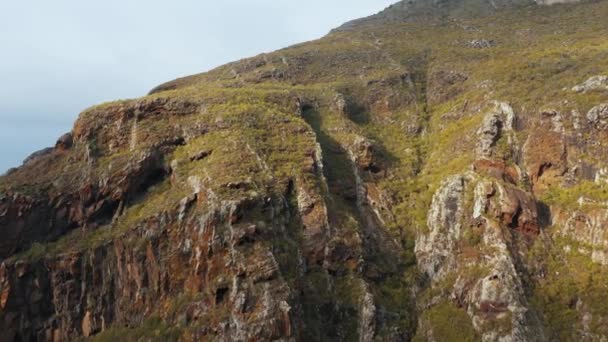 Ender bitki örtüsüyle kaplı kayalık bir arazinin havadan görünüşü. Tenerife, Kanarya Adaları, İspanya — Stok video