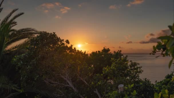 Timelapse de um belo pôr do sol sobre o oceano, arbustos verdes em primeiro plano — Vídeo de Stock