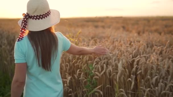 Γυναίκα με καπέλο και μπλε φόρεμα περπατά σε ένα χωράφι με σιτάρι και αγγίζει ώριμα αγκάθια σιταριού με το χέρι της στο φως του ηλιοβασιλέματος. Αργή κίνηση — Αρχείο Βίντεο