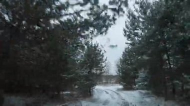 Karla kaplı çam ağaçlarıyla çevrili yol boyunca hızlı bir uçuş. FPV insansız hava aracı ile çekildi