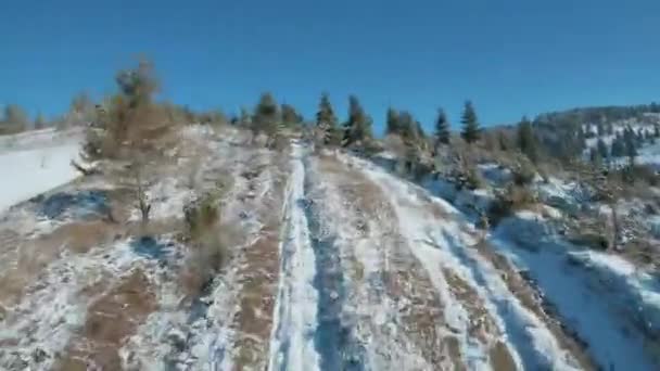Widok z lotu ptaka na pokryte śniegiem drzewa w górach w zimie. Nagrania na dronie FPV — Wideo stockowe