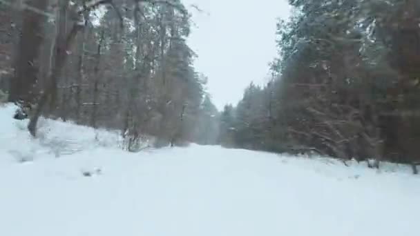 Швидкий маневрений політ вздовж стежки в зимовому лісі в снігопаді. Сніжинки падають прямо в камеру — стокове відео