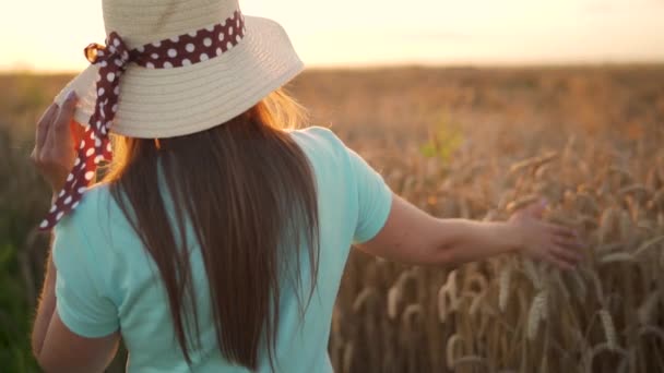 Woman in a hat and a blue dress walks along a wheat field and touches ripe spikelets of wheat with her hand in a sunset light. Slow motion — Stock Video