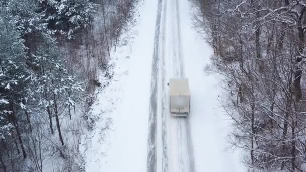 Luftfoto af en bil forlystelser på en vej omgivet af vinterskov i snefald – Stock-video