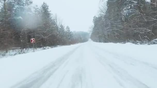 Швидкий маневрений політ вздовж дороги, оточений деревами, недалеко від землі в снігопаді. Сніжинки падають прямо в камеру — стокове відео
