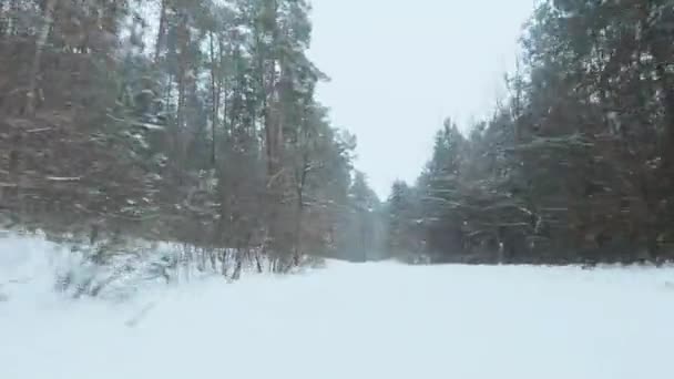 Быстрый маневрирующий полет по тропе близко к земле в зимнем лесу под снегопадом. Снежинки падают прямо в камеру — стоковое видео