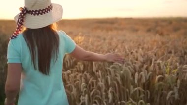 Şapkalı ve mavi elbiseli bir kadın buğday tarlası boyunca yürüyor ve gün batımında eli ile olgunlaşmış buğday başaklarına dokunuyor. Yavaş çekim