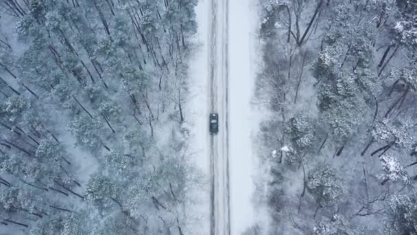 Aerial view of a car rides on a road surrounded by winter forest in snowfall — Stock Video