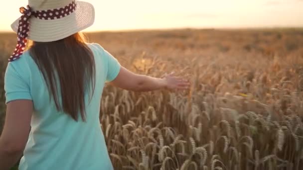 Vrouw in een hoed en een blauwe jurk loopt langs een tarweveld en raakt rijpe spikeletten van tarwe met haar hand in een zonsondergang licht. Langzame beweging — Stockvideo