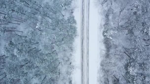 Luftaufnahme einer Straße, die bei Schneefall von Winterwald umgeben ist — Stockvideo