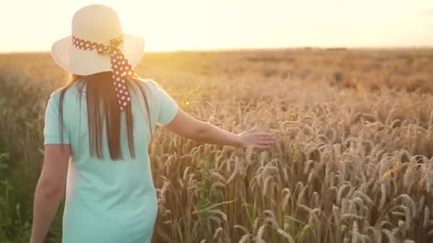 Şapkalı ve mavi elbiseli bir kadın buğday tarlası boyunca yürüyor ve gün batımında eli ile olgunlaşmış buğday başaklarına dokunuyor. Yavaş çekim — Stok video