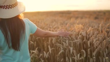 Şapkalı ve mavi elbiseli bir kadın buğday tarlası boyunca yürüyor ve gün batımında eli ile olgunlaşmış buğday başaklarına dokunuyor. Yavaş çekim