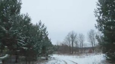 Karla kaplı çam ağaçlarıyla çevrili yol boyunca hızlı bir uçuş. FPV insansız hava aracı ile çekildi
