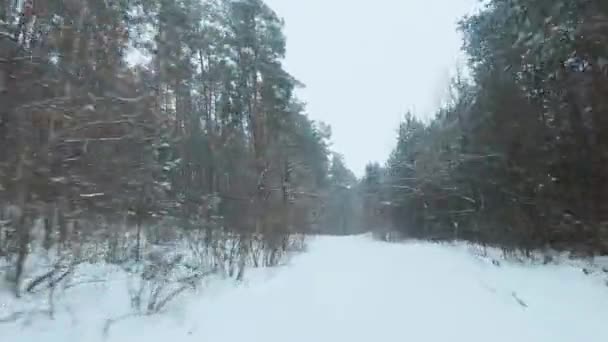 Швидкий маневрений політ вздовж стежки близько до землі в зимовому лісі в снігопаді. Сніжинки падають прямо в камеру — стокове відео