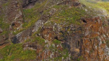 İnce bir bitki örtüsüyle kaplı bir kaya boyunca alçalın. Tenerife, Kanarya Adaları, İspanya