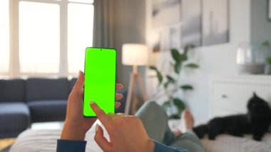 Evde bir kadın siyah kediyle yatakta uzanıyor ve dikey modda yeşil maket ekranlı akıllı telefon kullanıyor. Kız internette geziniyor, içeriği izliyor, videolar izliyor. POV.