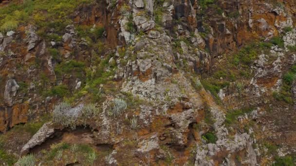 Stigande längs ett stenigt landskap täckt av gles vegetation. Teneriffa, Kanarieöarna, Spanien — Stockvideo