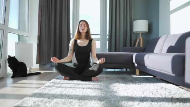 Jonge blanke vrouw in zwart jumpsuit zittend in lotuspositie en mediterend, yoga thuis. Zwarte kat zit naast haar. Langzame beweging — Stockvideo