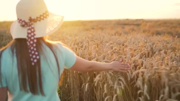 Γυναίκα με καπέλο και μπλε φόρεμα περπατά σε ένα χωράφι με σιτάρι και αγγίζει ώριμα αγκάθια σιταριού με το χέρι της στο φως του ηλιοβασιλέματος. Αργή κίνηση — Αρχείο Βίντεο