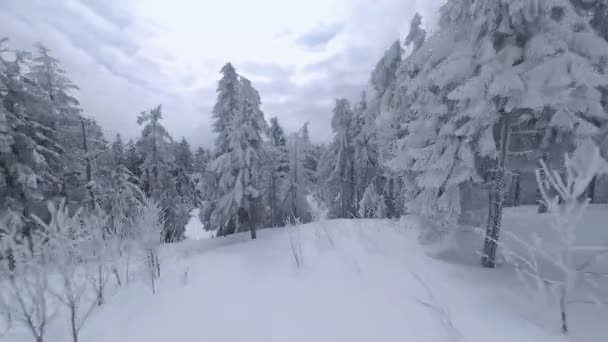 Vista aérea de um fabuloso inverno paisagem de montanha close-up. Voo suave e manobrável entre árvores cobertas de neve. Filmado em drone FPV. — Vídeo de Stock