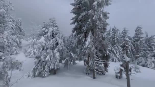 Vista aérea de um fabuloso inverno paisagem de montanha close-up. Voo suave e manobrável entre árvores cobertas de neve. Filmado em drone FPV. — Vídeo de Stock