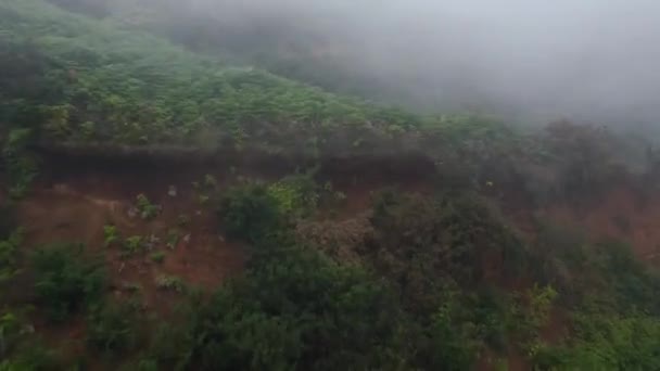 Bulut seviyesinde dağın yamacı boyunca yükseliyor. Kırmızı kil toprak ve yeşil bitki örtüsü. Hızlandırılmış video. Kanarya Adaları, İspanya — Stok video