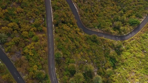 Vista superior de la superficie de la isla de Tenerife - coche conduce por una sinuosa carretera de montaña en un paisaje árido desierto. Vídeo acelerado. Islas Canarias, España — Vídeos de Stock