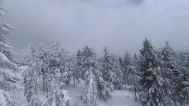 Muhteşem bir kış dağ manzarasının havadan görünüşü. Karla kaplı ağaçlar arasında pürüzsüz ve manevra kabiliyeti yüksek bir uçuş. FPV insansız hava aracı ile çekildi.
