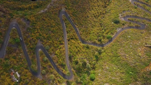 Top view of the surface of the island of Tenerife - car drives on a winding mountain road in a desert arid landscape. Canary Islands, Spain — Stock Video