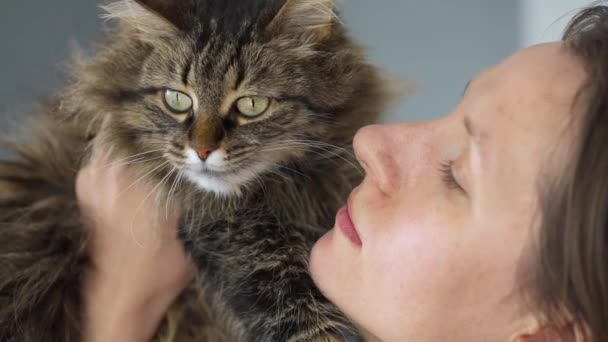 Woman kisses and rubs her face against a very fluffy tabby cat to express her love and affection, slow motion — Stock Video