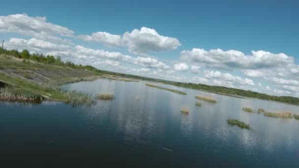 Voo rápido e ágil sobre o lago com um par de cisnes brancos. Filmado em drone FPV — Vídeo de Stock