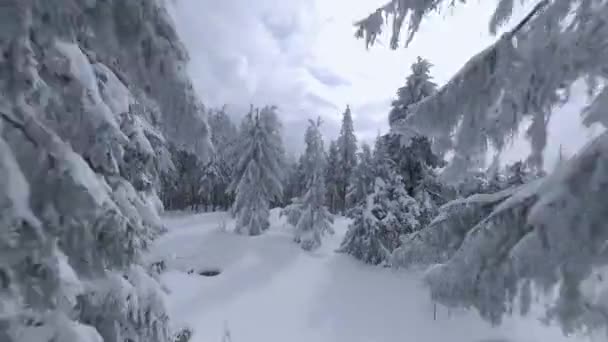 Légi kilátás egy mesés téli hegyi táj közelről. Gyors és manőverező repülés hófákkal borított fák között. FPV drónnal filmezve. — Stock videók