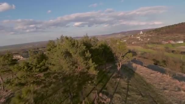 Vuelo rápido y maniobrable sobre la colina con hermosos pinos. Filmado en FPV drone. — Vídeos de Stock