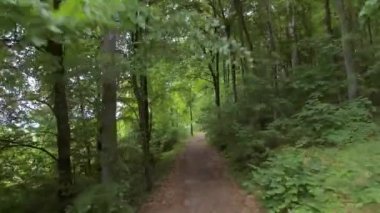 Yaz ormanlarında yol boyunca uçuyor. FPV insansız hava aracı ile çekildi.