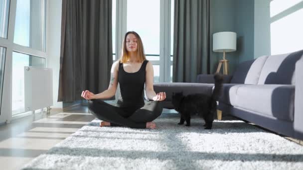Giovane donna caucasica in tuta nera seduta in posizione di loto e meditando, yoga a casa. Gatto nero cammina intorno — Video Stock