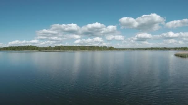 Voo rápido e ágil sobre o lago com um par de cisnes brancos. Filmado em drone FPV — Vídeo de Stock