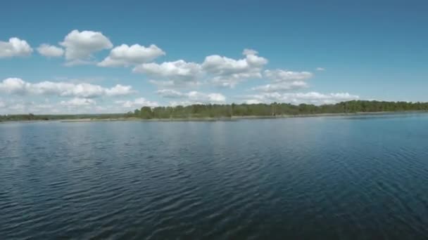 Rychlý a hbitý let nad hladinou jezera obklopeného rákosím a stromy. Natočeno na FPV drone — Stock video