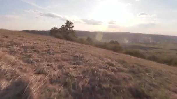 Fast and maneuverable flight over the hill with beautiful pine trees. Filmed on FPV drone. — Stock Video