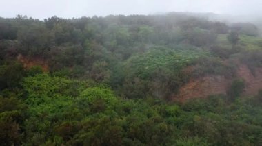 Bulut seviyesinde dağın yamacı boyunca uçuyor. Kırmızı kil toprak ve yeşil bitki örtüsü. Kanarya Adaları, İspanya