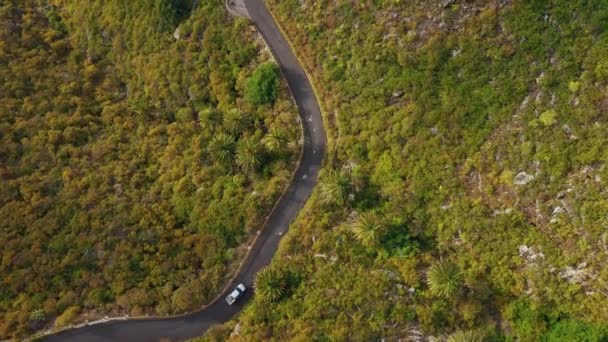 Top kilátás nyílik a felszínre, a sziget Tenerife - autó vezet egy kanyargós hegyi úton egy sivatagi száraz táj. Kanári-szigetek, Spanyolország — Stock videók