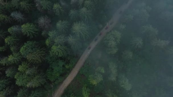 Повітряний вид команди ATV, яка їде через ліс у горах. — стокове відео