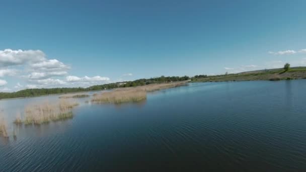 Rychlý a obratný let přes jezero s rákosím. Natočeno na FPV drone — Stock video